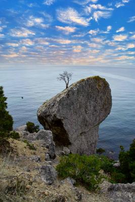 Прикрепленное изображение: IMG_6608м.jpg